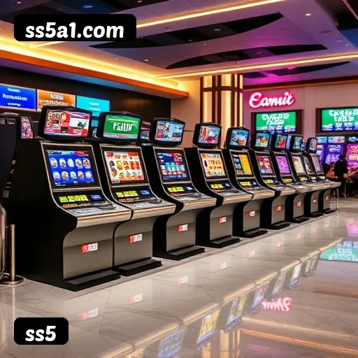 Termos e Condições Transparentes ss5